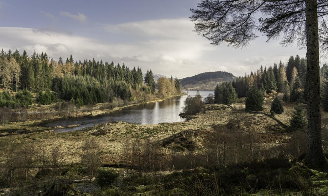 A viewpoint over a loch with hills in the back