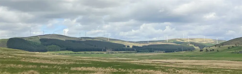 an open area with treed hills and wind turbines
