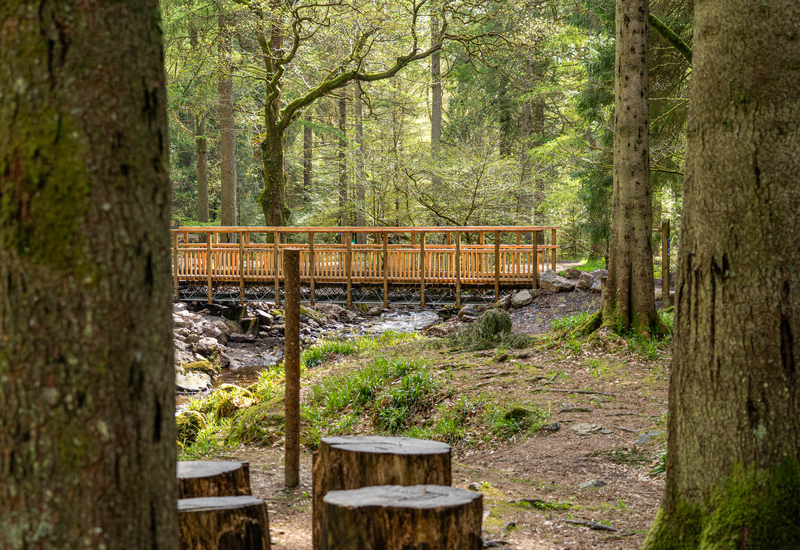 a wooden bridge in a forest with stump stools