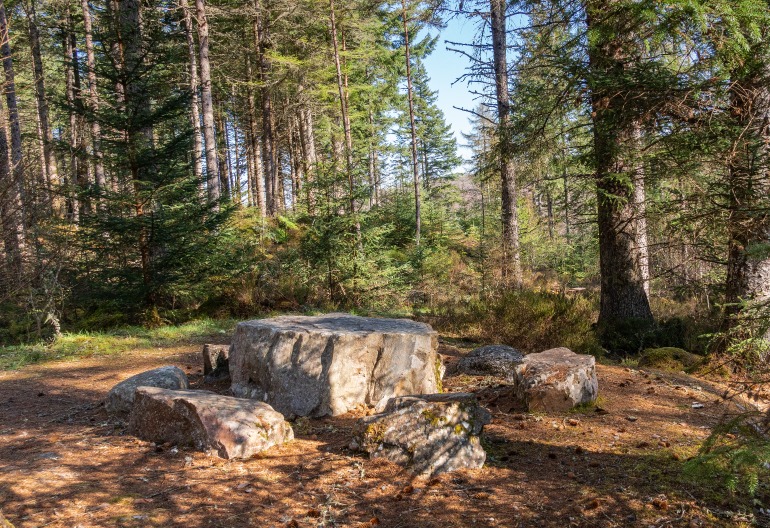 A rock table in the woods