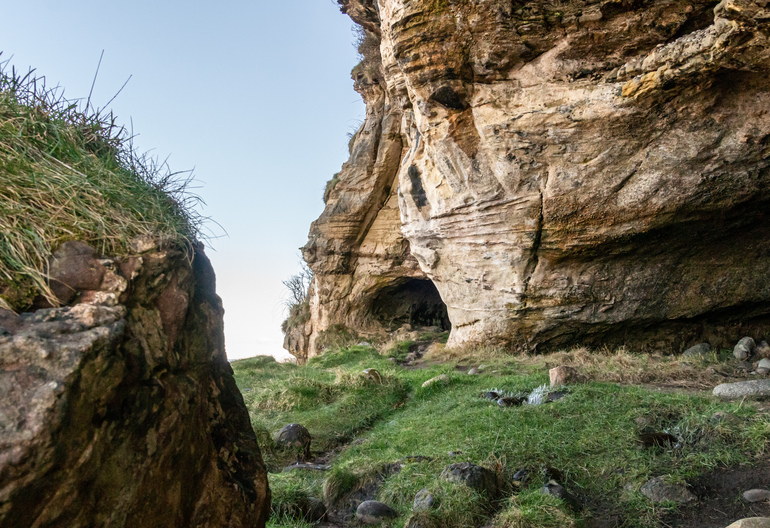 The side of a cave with grass