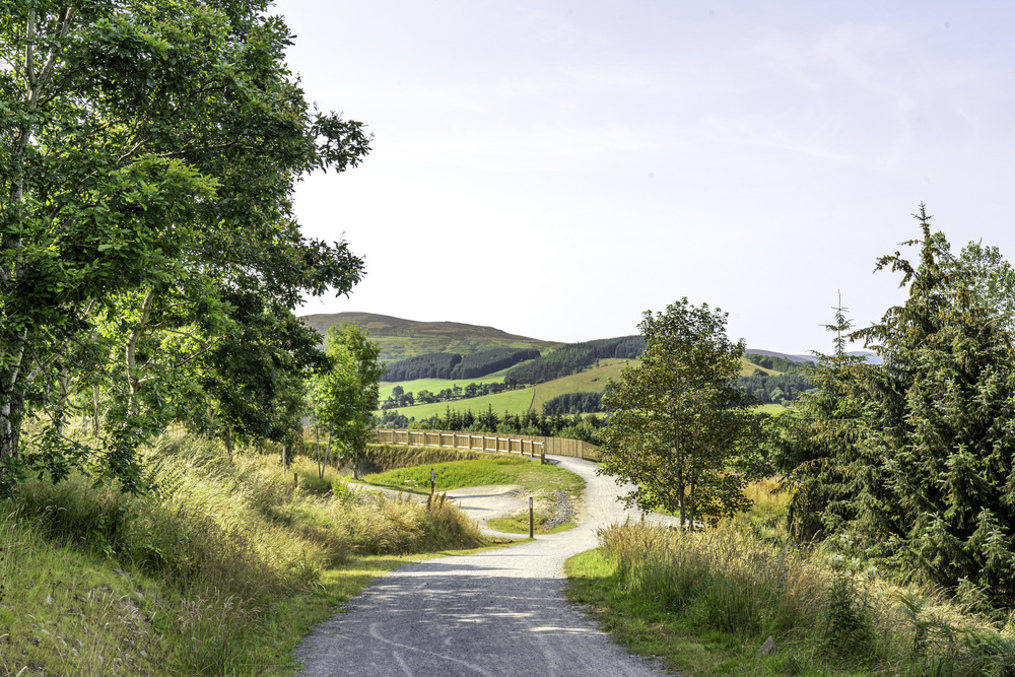Walking path in the forest towards a wooden bridge with a hillside view