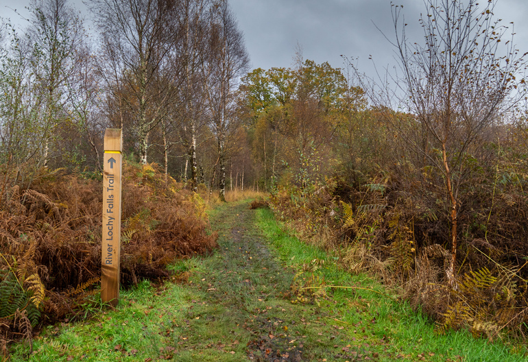 A trail sign with a grassy walking trail behind and autumn forest 