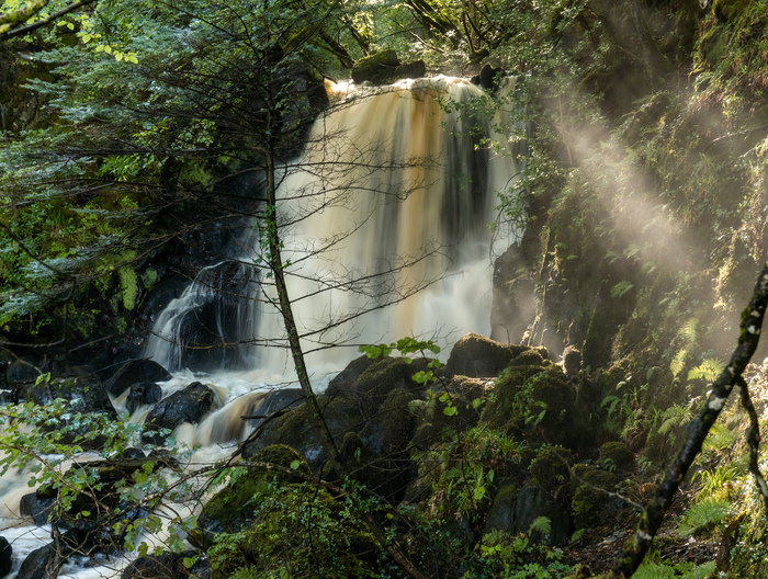 A waterfall next to a bridge with morning light shining through