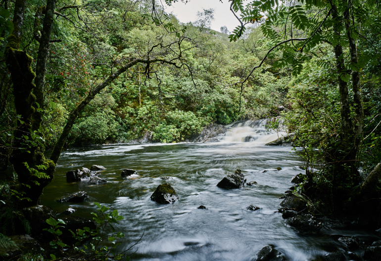 Waterfall cascades down into pool, surrounded by trees, ferns and boulders, Glen Righ forest, near Fort William
