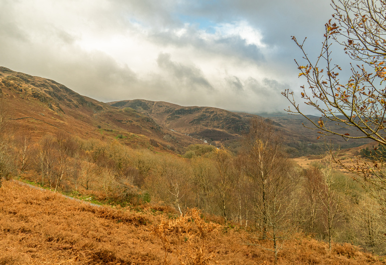 A valley with autumn trees and a waterfall in the background