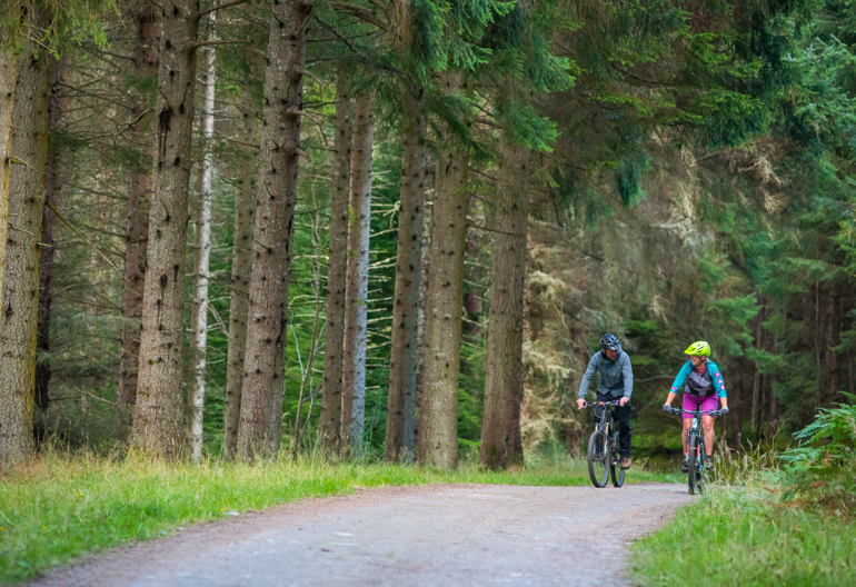 Man and woman on mountain bikes ride on tree lined cycle path, Balnain, near Loch Ness