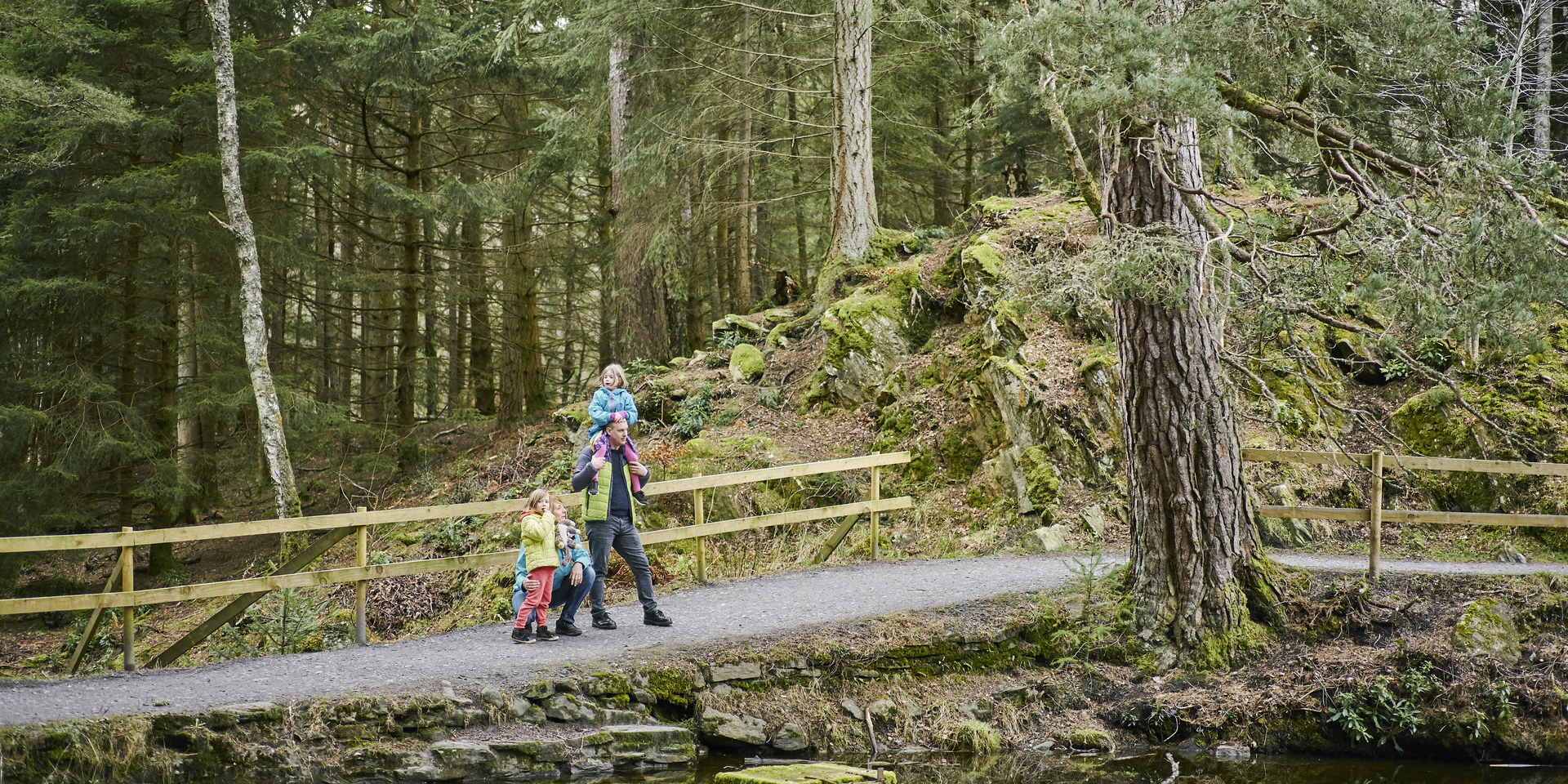 Close up of tree bark