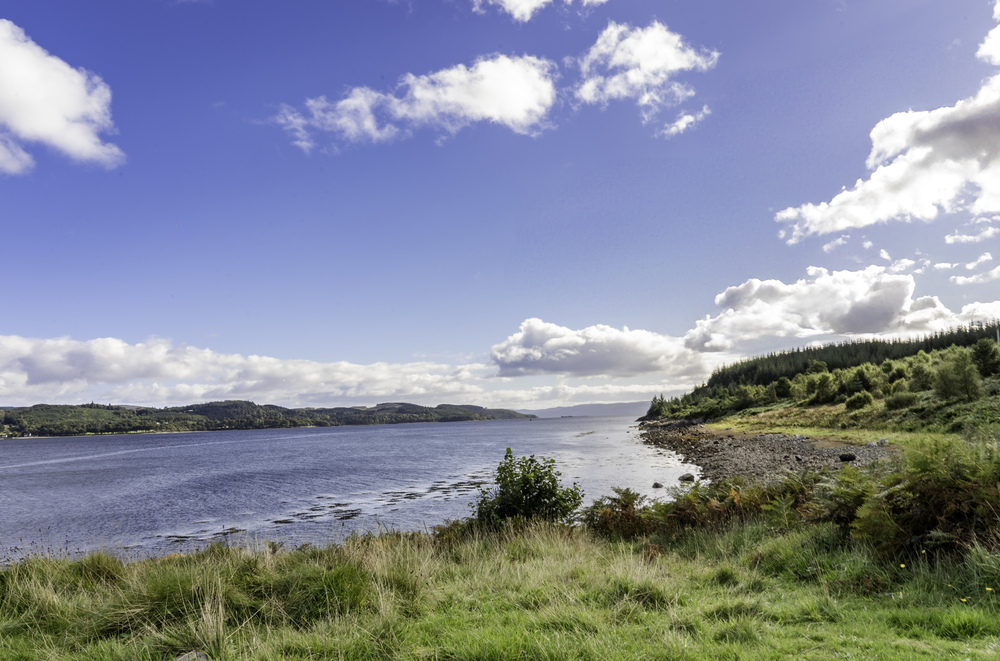 A coastal forest with a rocky beach looking over to a forested hillside on the other side of the water