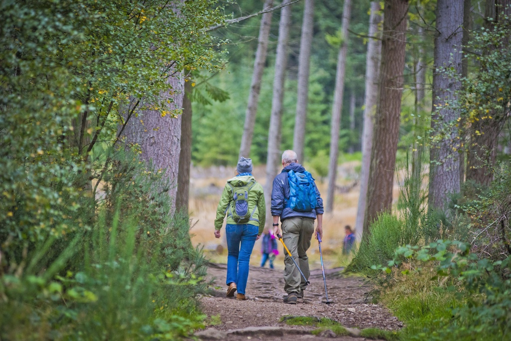 Two people on a forest path with tall trees on either side.