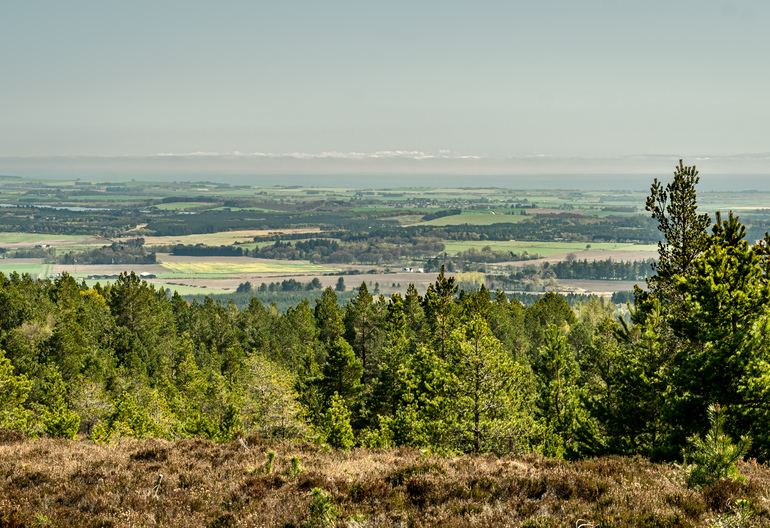 Views from the top of a hill over fields 