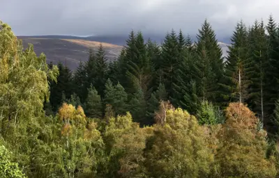 Forest and mountains around the Carie Hydro Scheme, Loch Rannoch, Perthshire