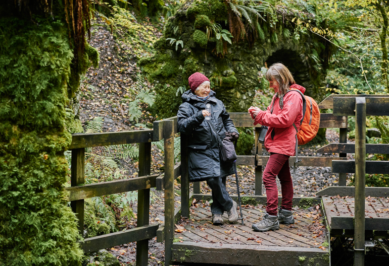 Two ladies standing on wooden platform with dense green foliage beyond.