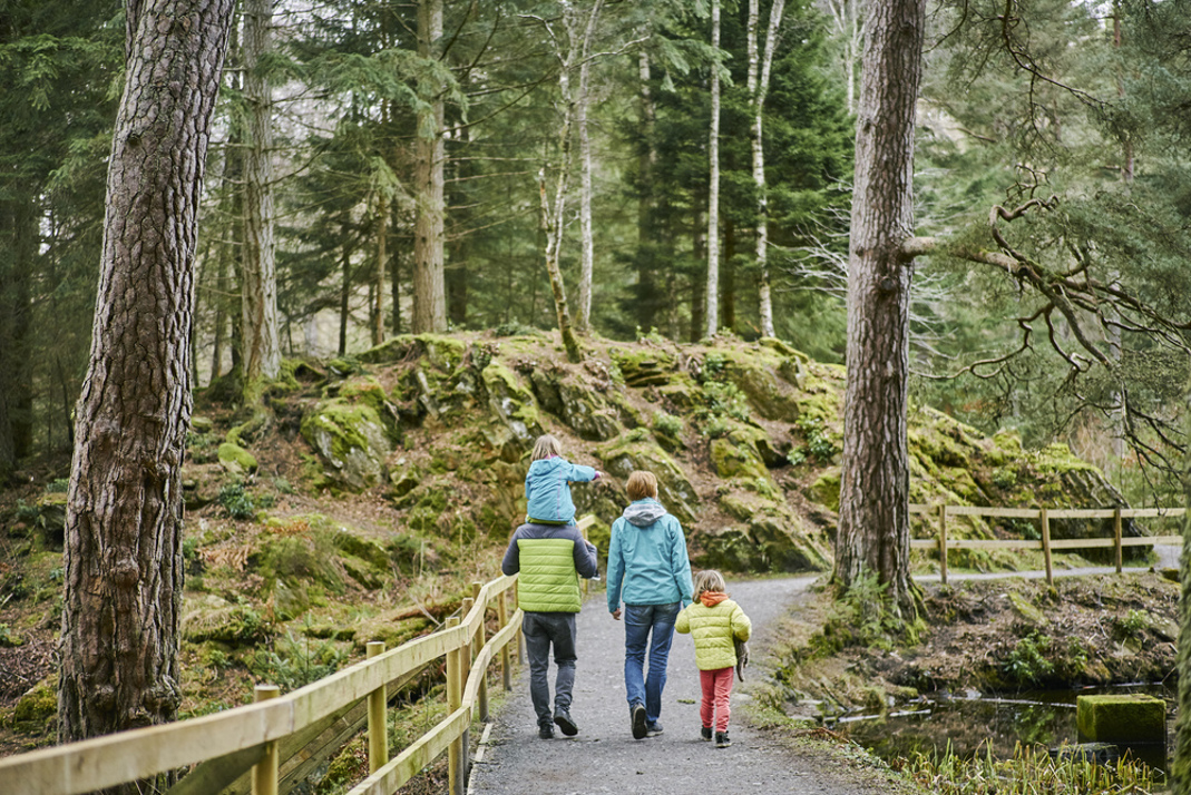 A family of 4 walking along a forest path next to a loch