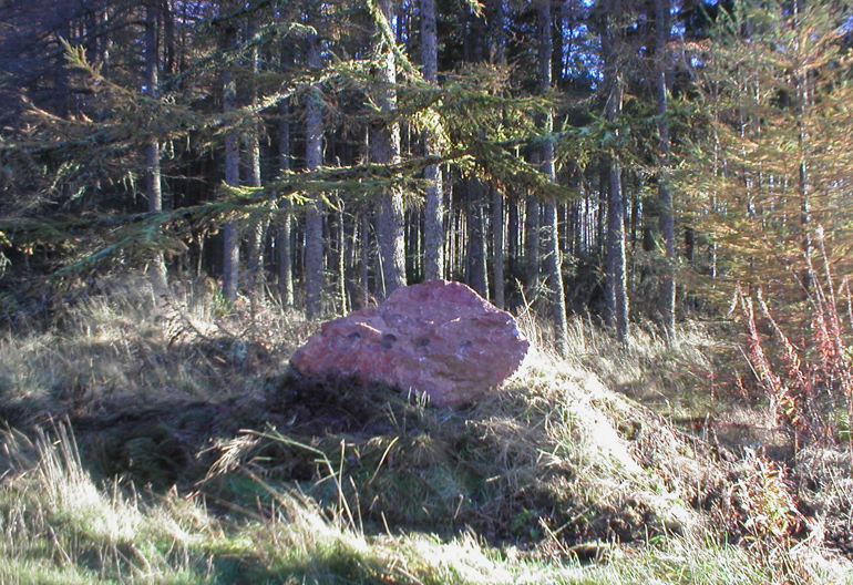 A boulder embedded in a grass hillock