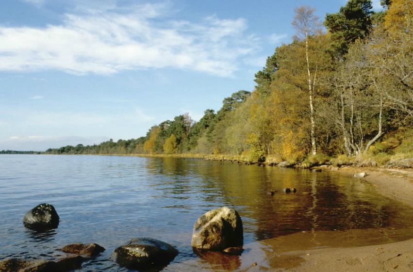 Calm body of water with tall green trees along the shore, rocks in the foreground and blue sky above