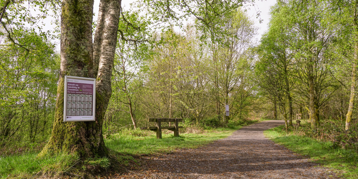 a forest path with a white sign on a tree and a bench in the background