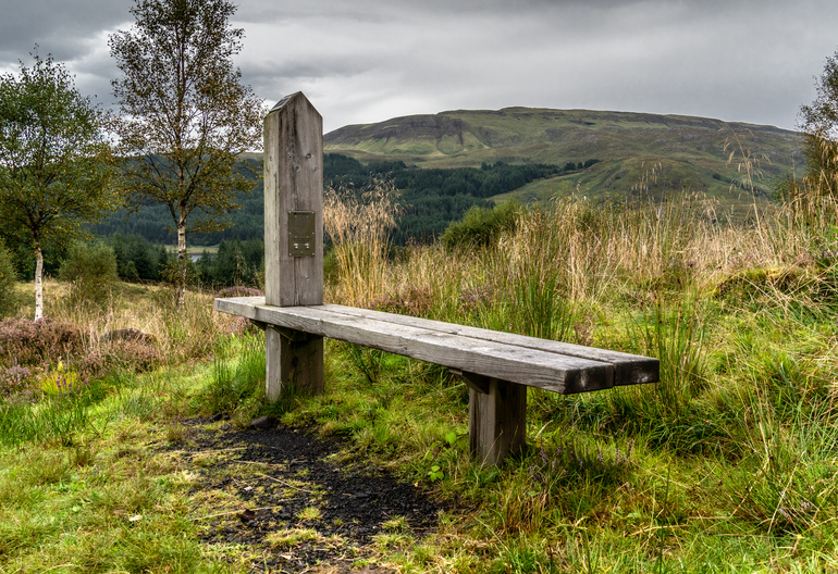 a wooden bench in a field with trees 