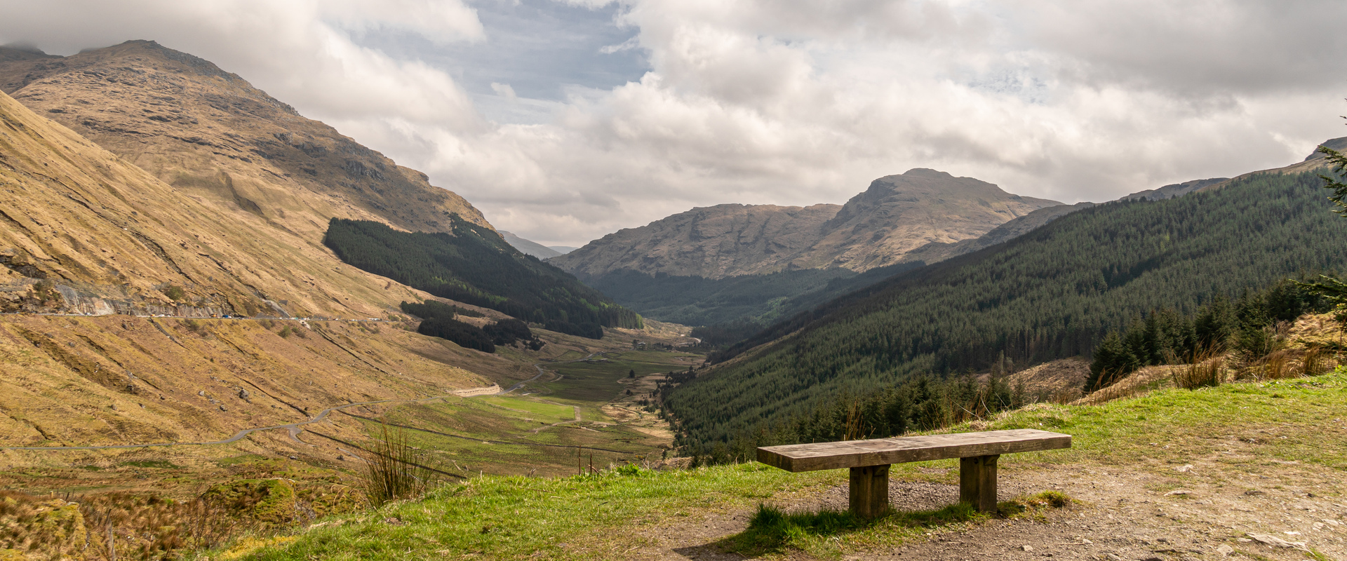 Close up of tree bark