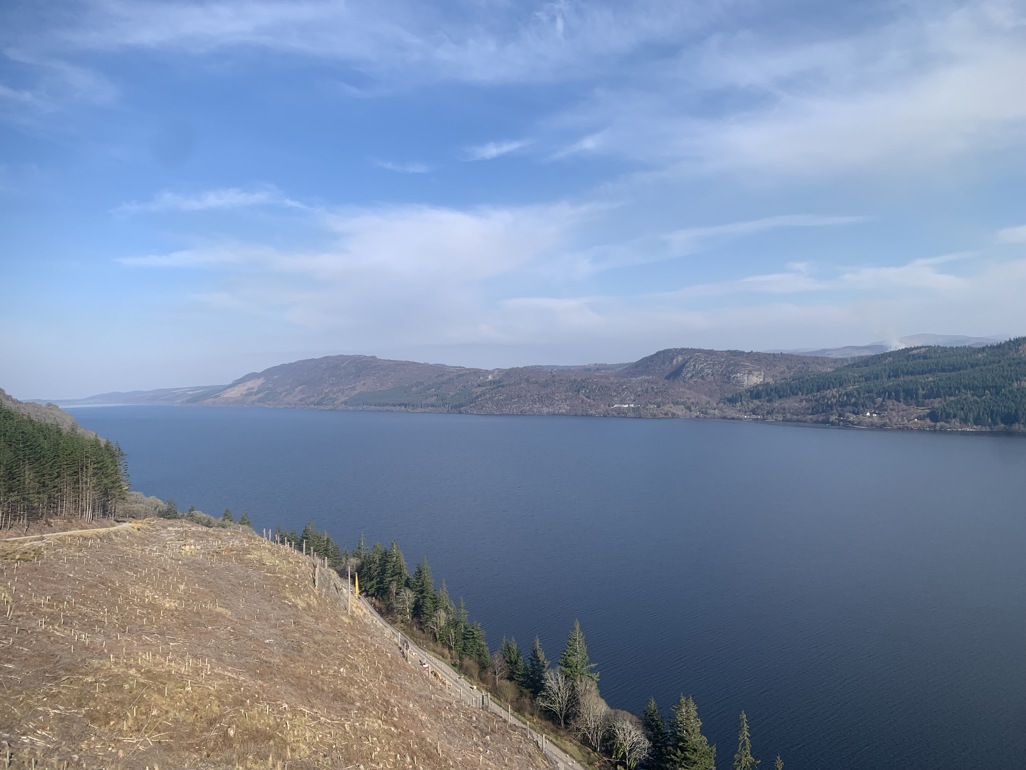 A recently felled hillside overlooking a loch