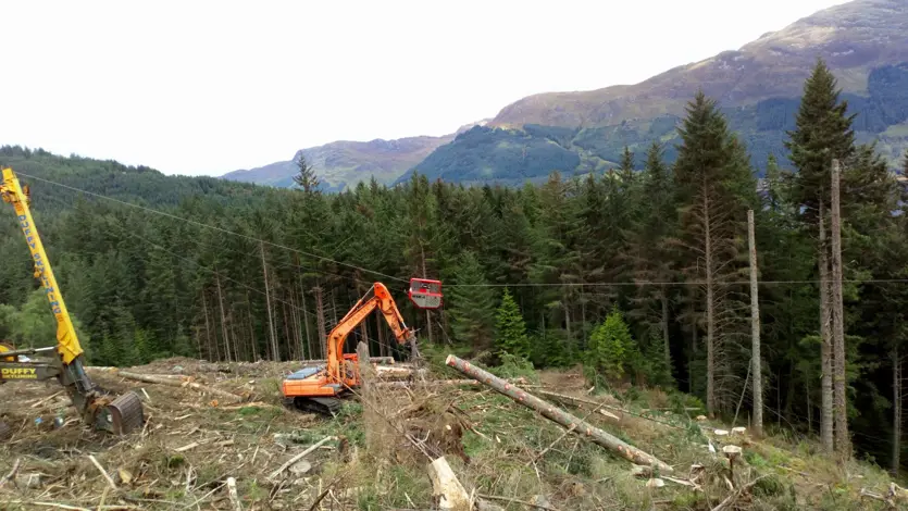 A large industrial machine in a forest setting, with felled trees around and standing forest beyond
