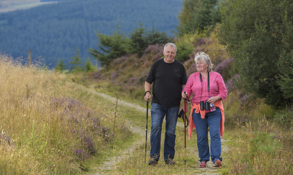 Two people walking on a forest track.