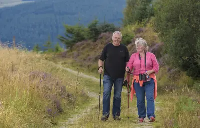 Two people walking on a forest track.