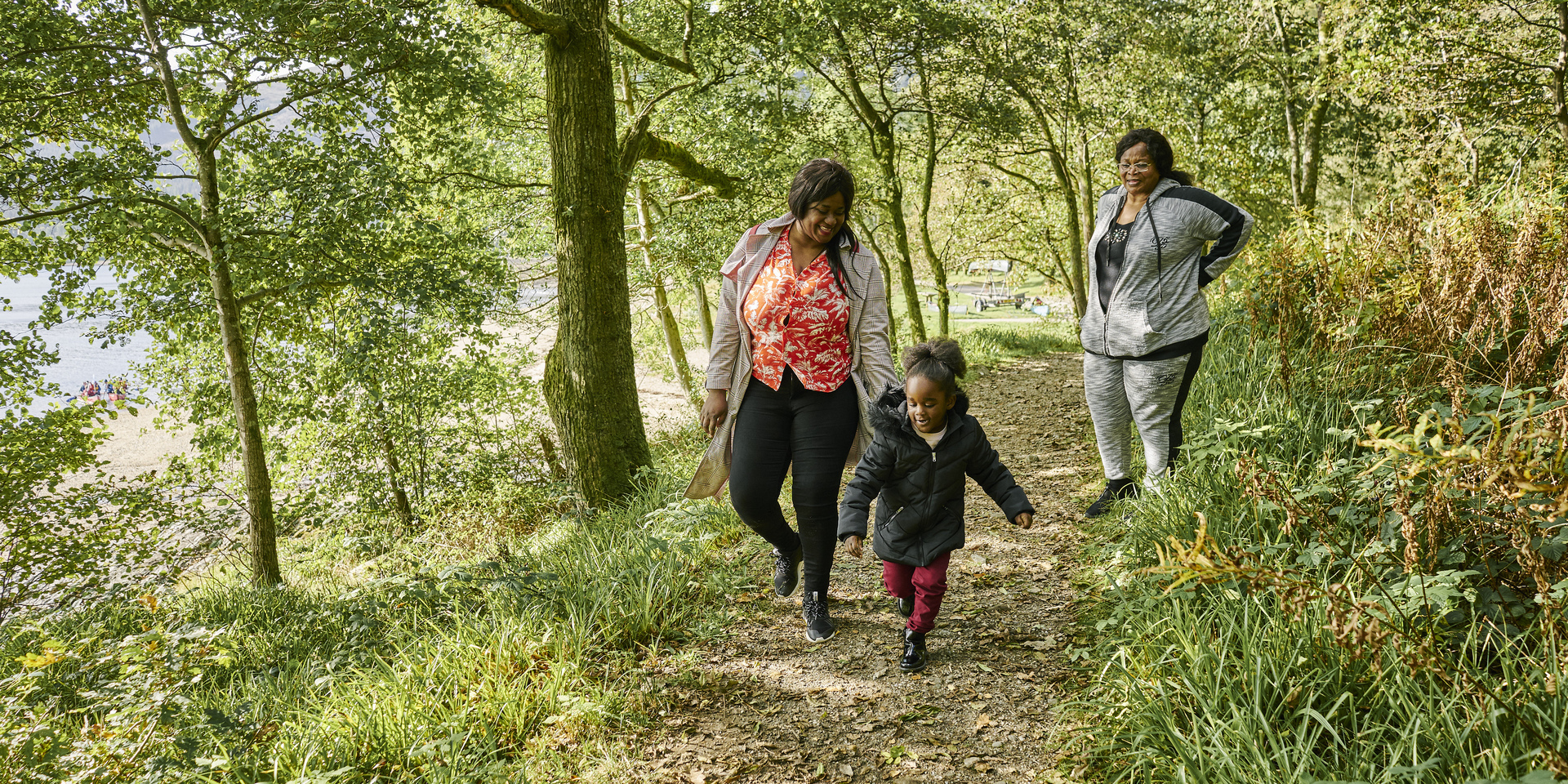 Drooping conifer branch