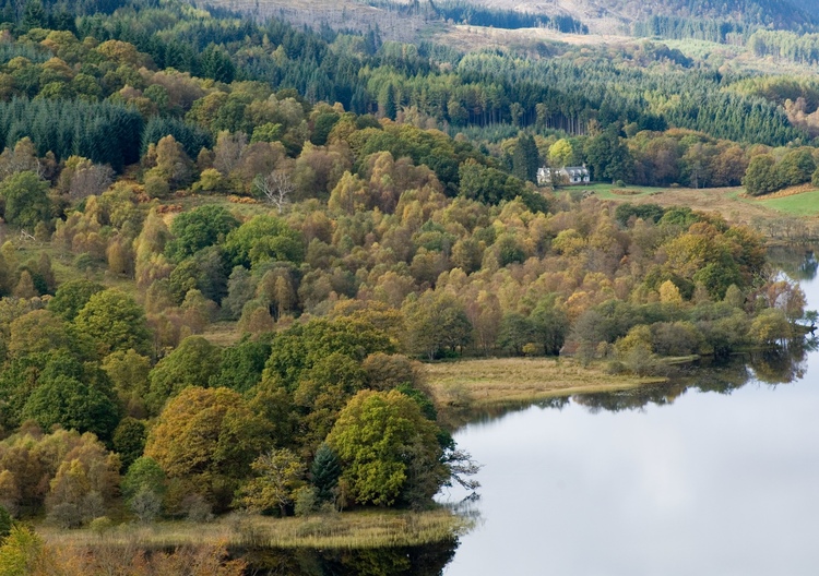  Mixed woodland autumn colours on the shores on Loch Ard