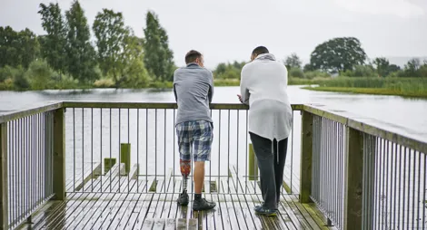 Drooping conifer branch