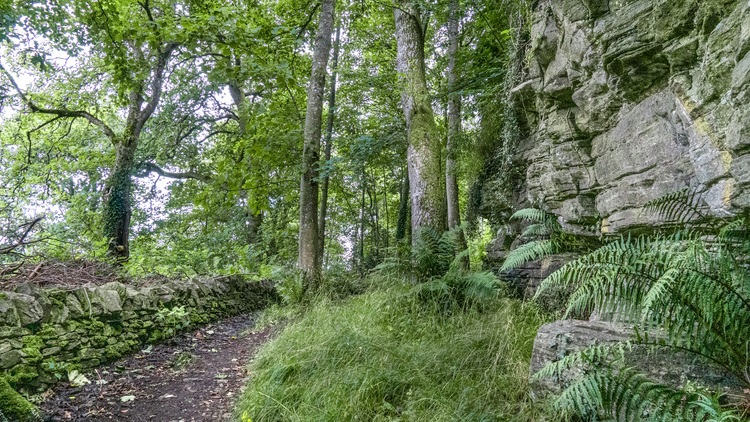 A walking path through a mixed woodland with rock faces next to the path