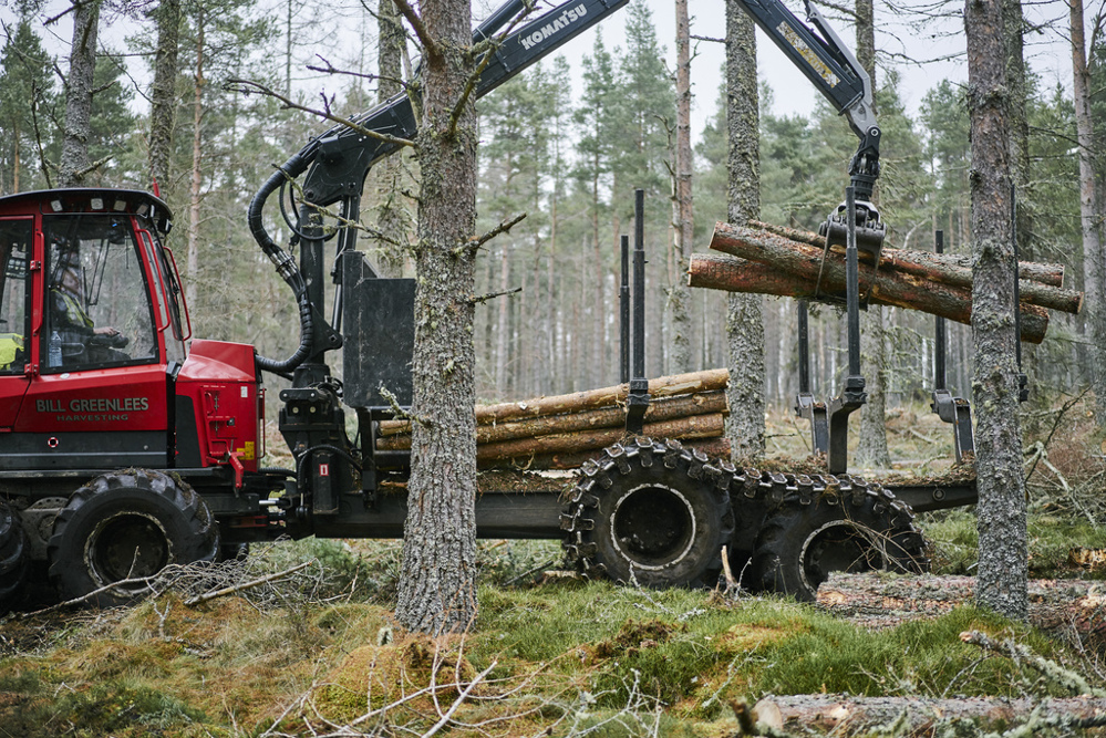 Forwarder machine picking up logs in a forest.