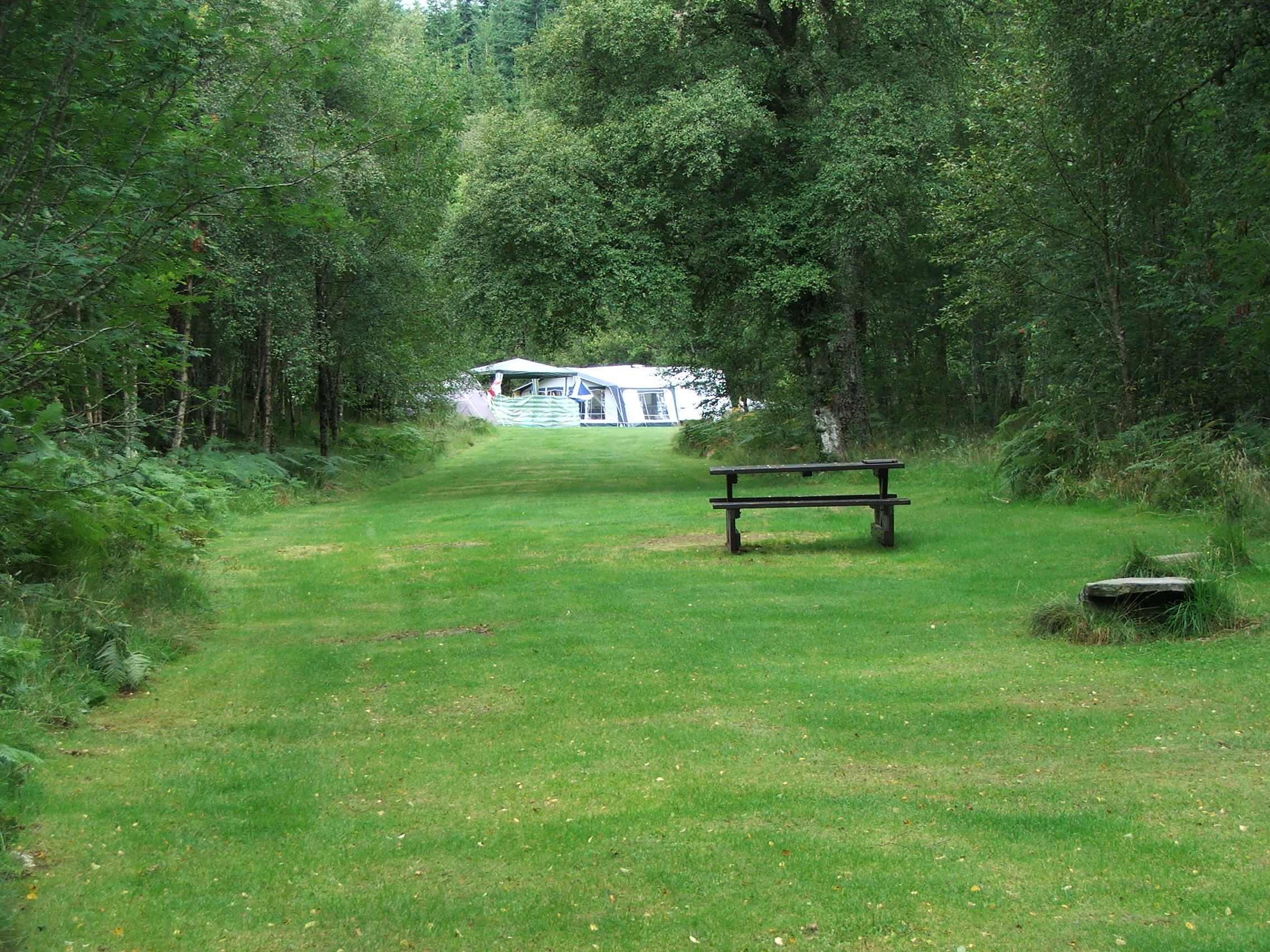 Grassy field surrounded by trees with a caravan in the distance