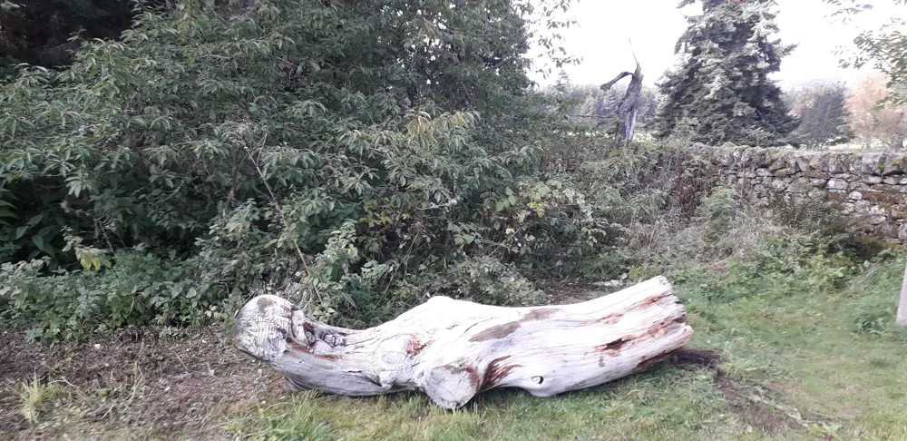 One of the fallen Frank Bruce sculptures