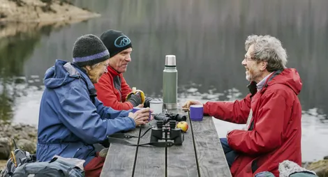 Drooping conifer branch